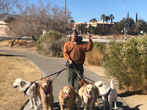 doug_walking_dogs